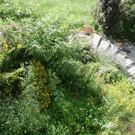 Lägenhet Großglocknerappartement